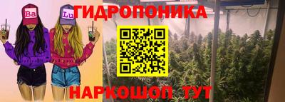 синтетический гашиш Гатчина